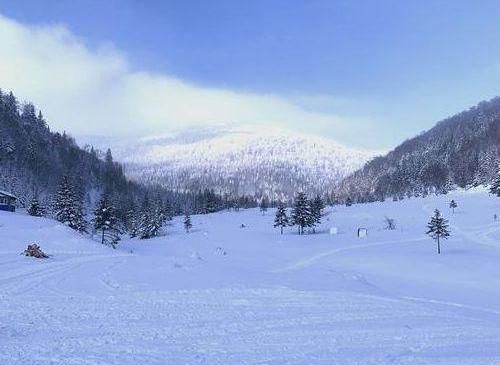 去漠河，赴一场冰雪奇缘的终极之旅